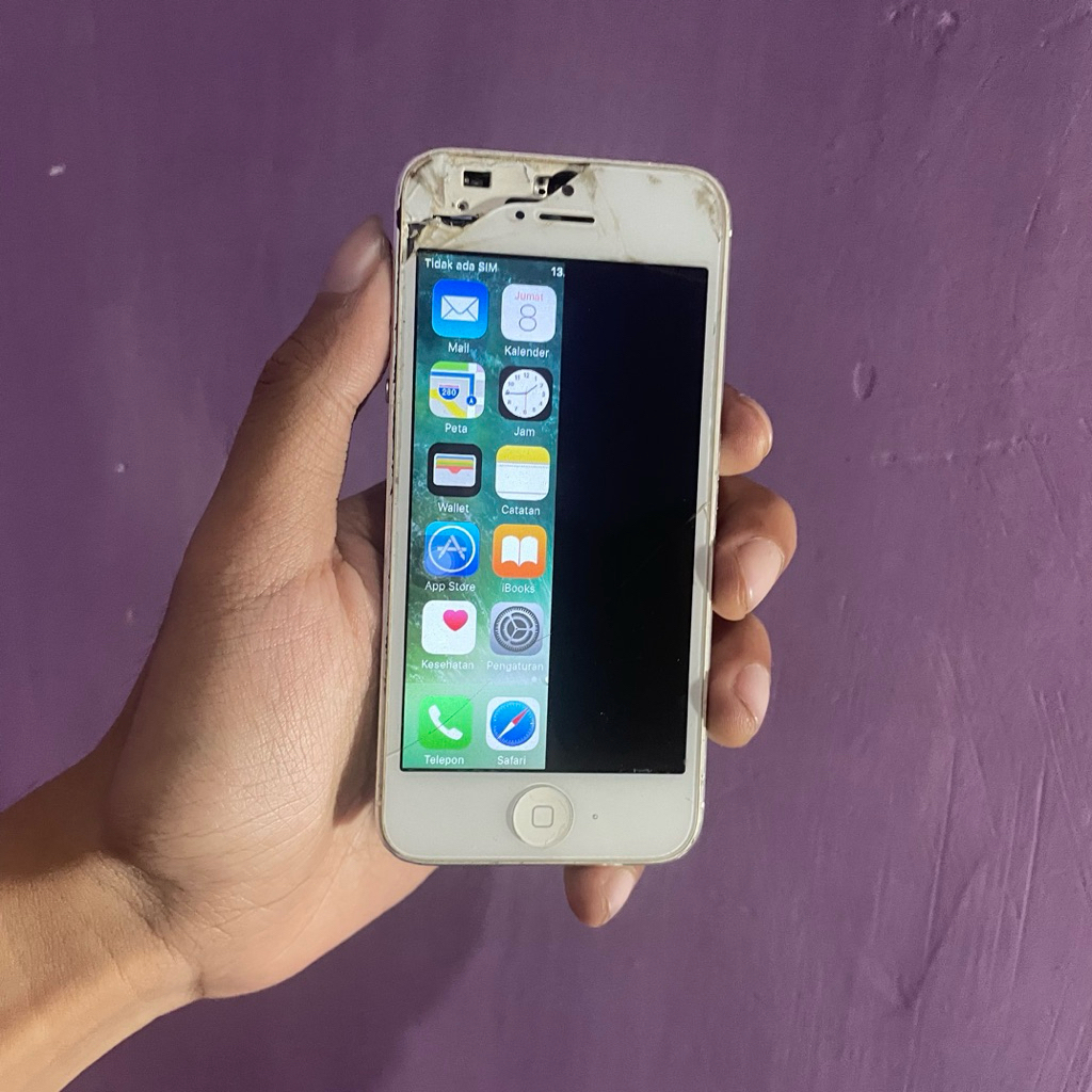 iPhone 5 Wifi only