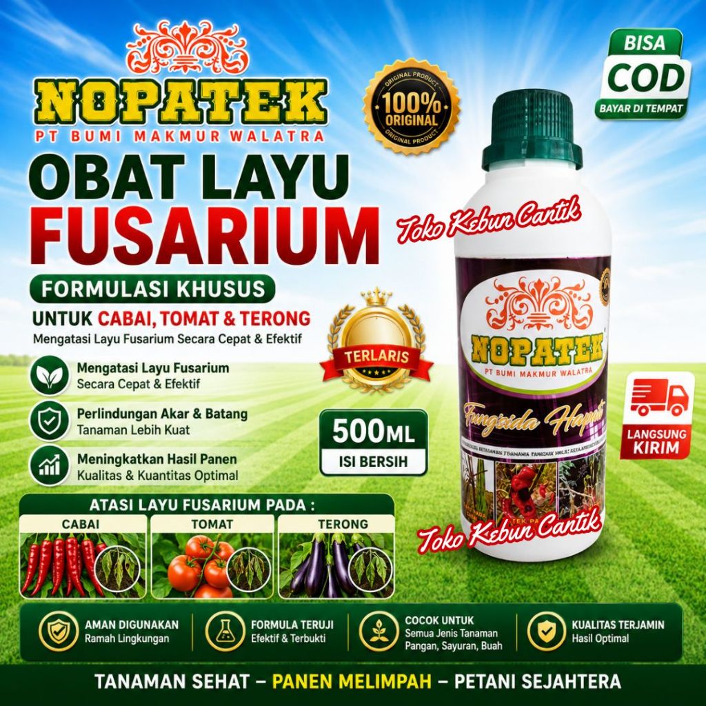 NOPATEK Fungisida Hayati Obat Layu Tanaman Cabai Tomat Terong Formula Petani Kekinian