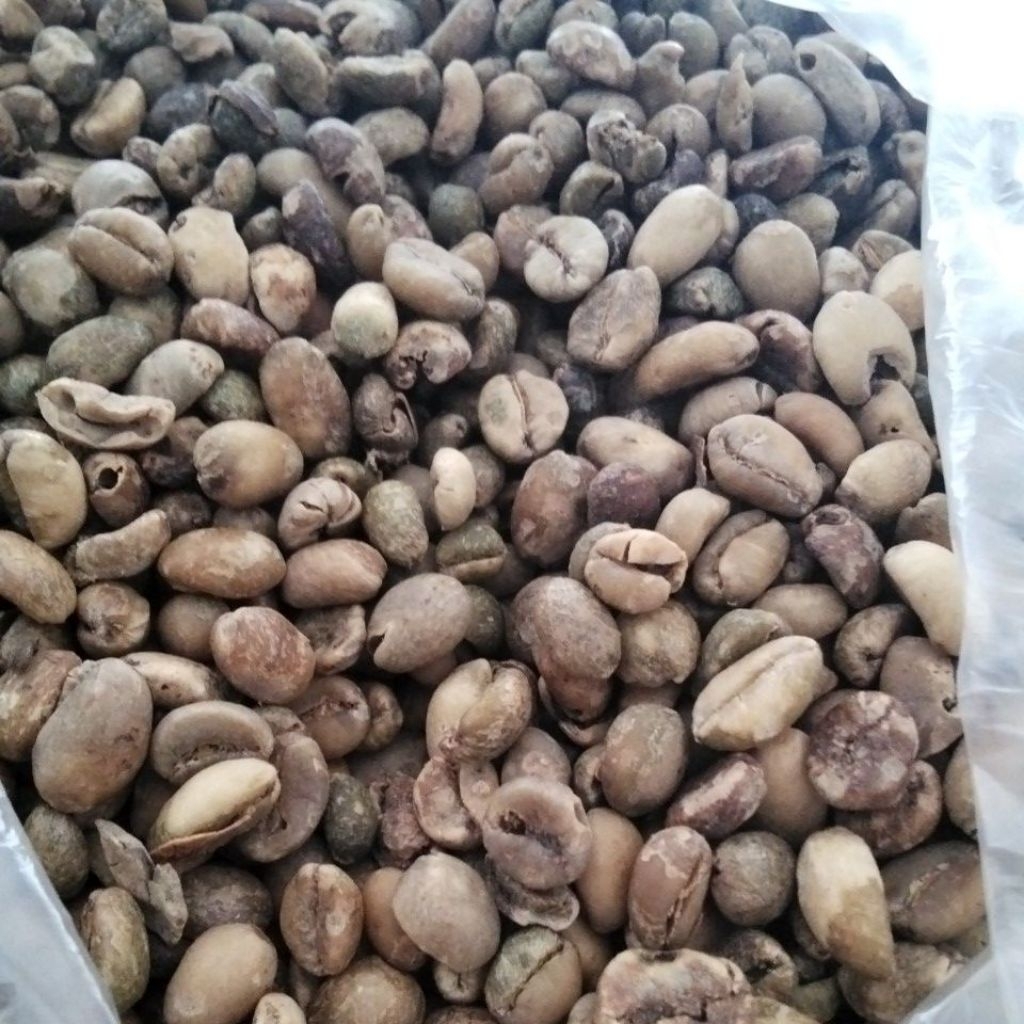 kopi nangka 1kilo,biji kopi