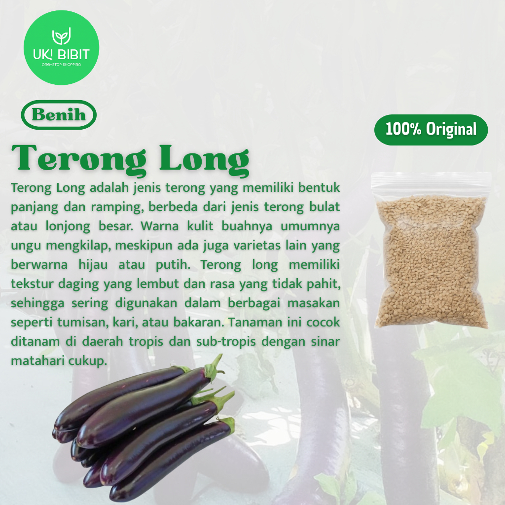 ( 10 Butir ) Benih Biji Terong Long | Terong Belut | Solanum Melongena