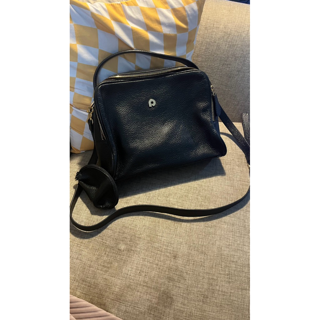 preloved papillon