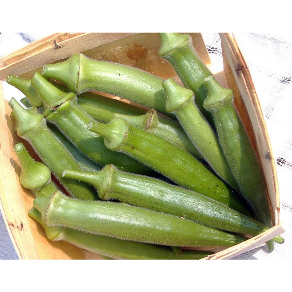 Benih Okra