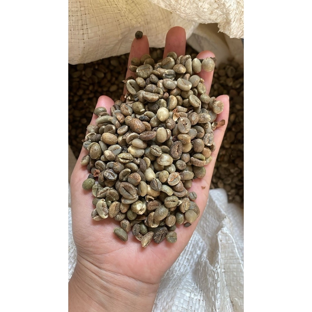KOPI ROBUSTA LAMPUNG ASALAN 1KG