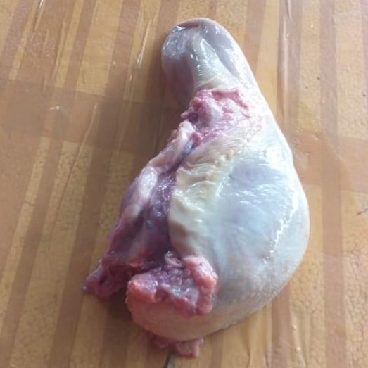 Lidah sapi utuh super/ tongue