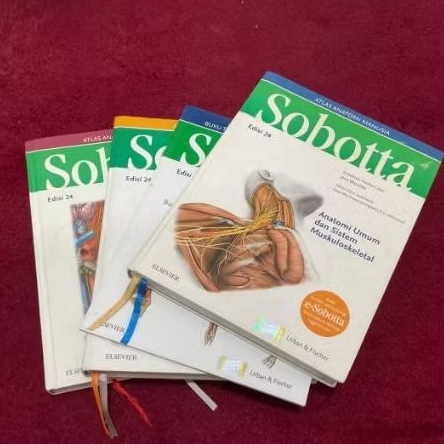 ORIGINAL SOBOTTA ATLAS ANATOMI MANUSIA EDISI 24(PRELOVED)