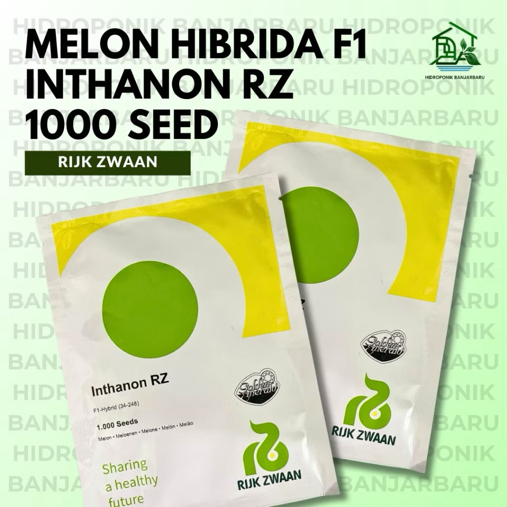 Benih Melon INTHANON RZ F1 1000 Seeds Original Golden Emerald