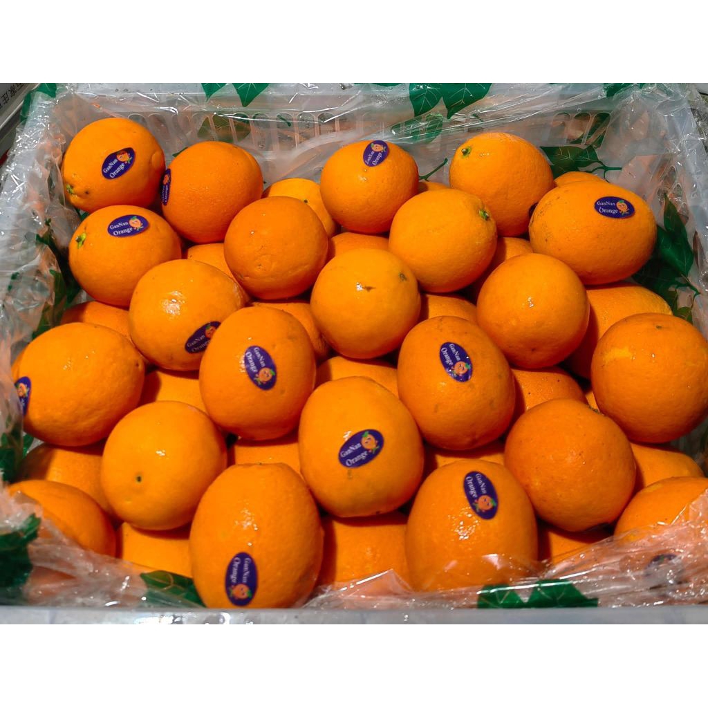 JERUK SUNKIST NAVEL VALENCIA 1KG +-