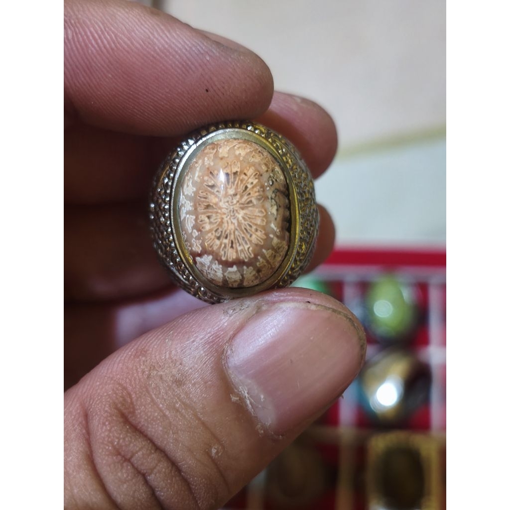 Cincin Batu Akik Teratai Tunggal Mumbul