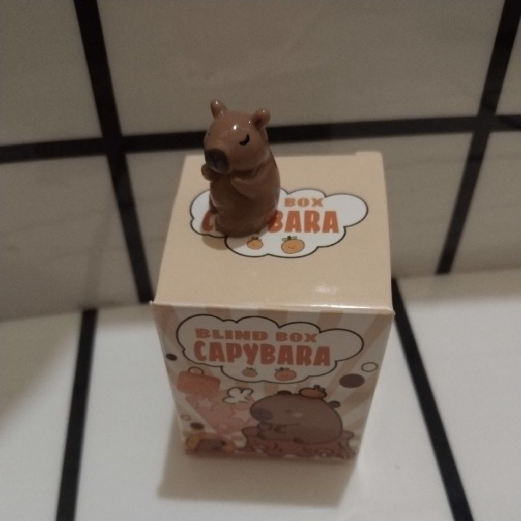 mainan blind box capybara