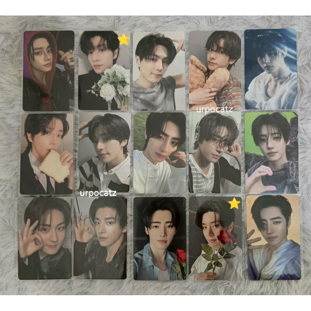 ENHYPEN - Photocard Official Album Jake Sunghoon Jungwon Heeseung Jay Sunoo Ni-ki Unit Riki Niki Rom