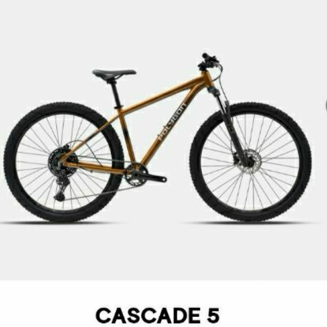 Sepeda Polygon Cascade 5