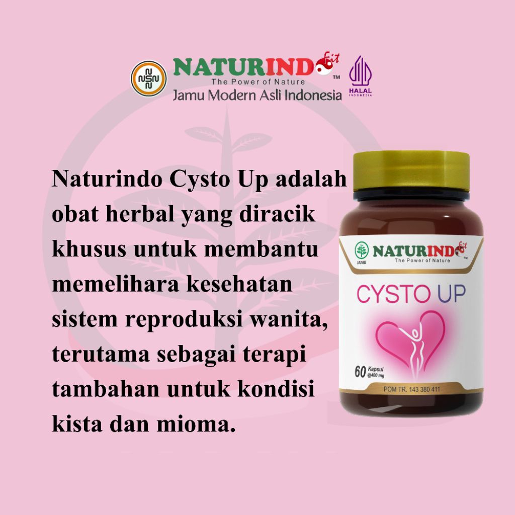 Cysto Up