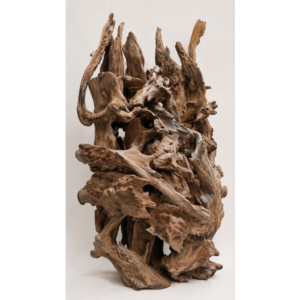 Kayu fosil size L,kayu rentek,kayu Aquarium,aquascape