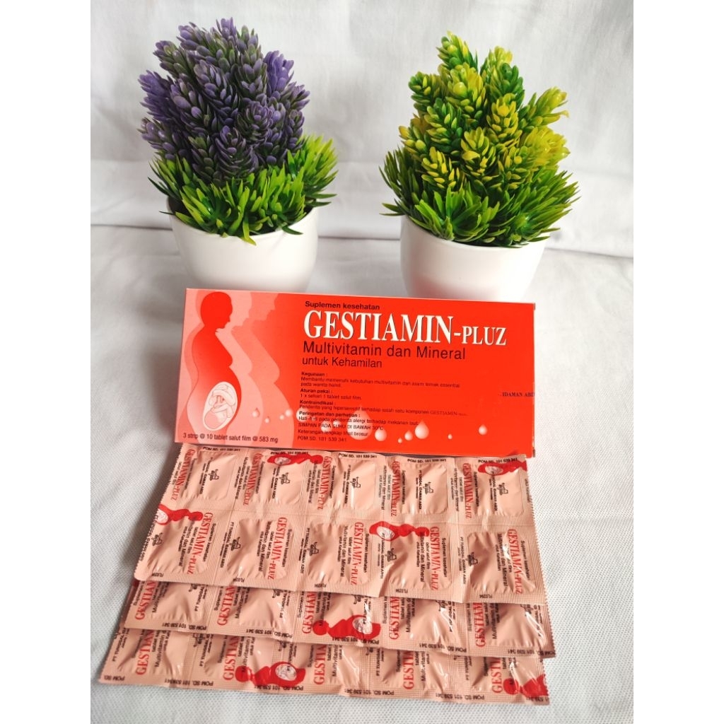 Gestiamin Plus/ Vitamin Ibu Hamil/ Vitamin Promil/ Ed 10/2027