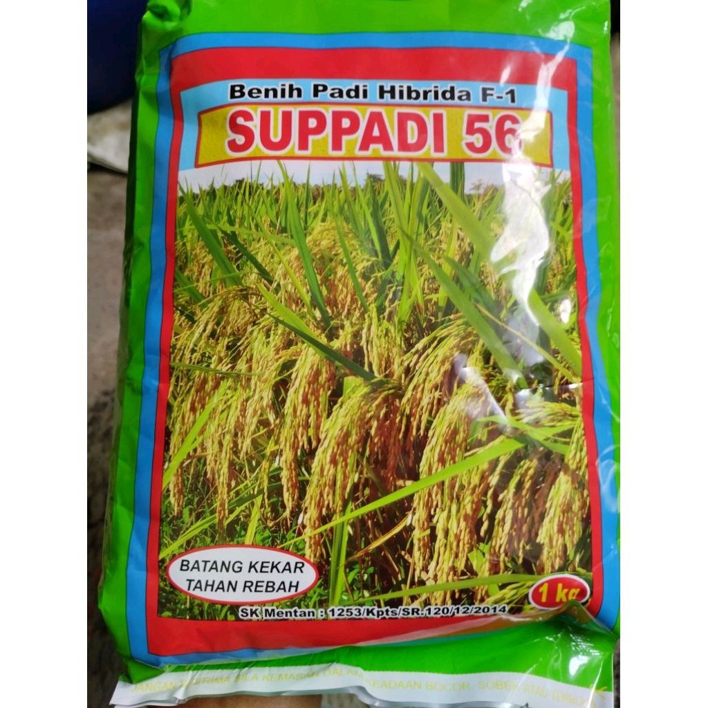 BENIH PADI HIBRIDA SUPADI 56 2KG