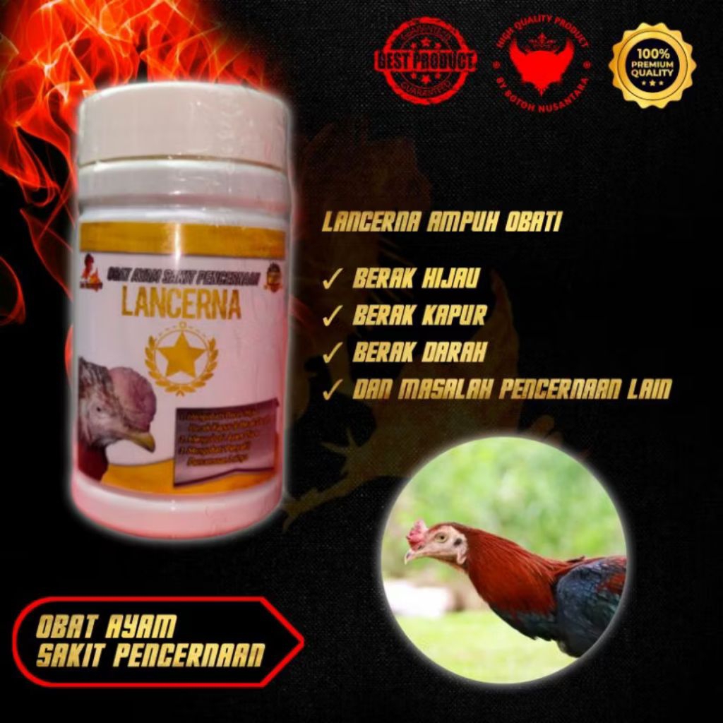 LANCERNA obat herbal ayam sakit kolera berak hijau berak kapur berak bening berak darah