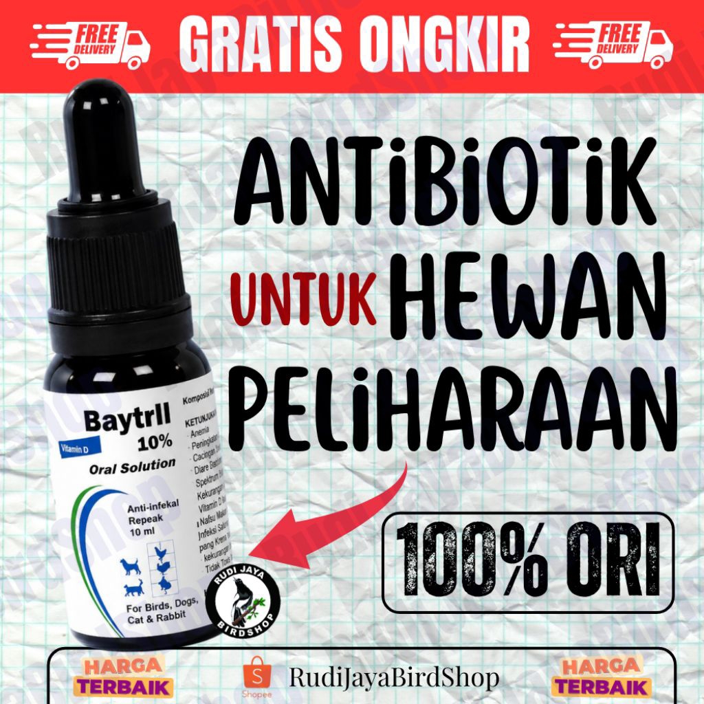 BAYTRIL 10% 10ML ENROFLOXACIN OBAT ANTIBIOTIK AYAM KUCING KELINCI SPEKTRUM LUAS OBATI SAKIT INFEKSI
