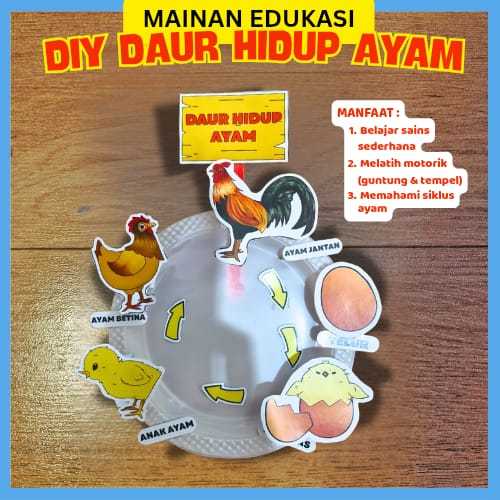 Ideasya Lifecycle Ayam Anak Paud TK SD | Daur Hidup Ayam IPA Prakarya Montessori Mainan Edukasi