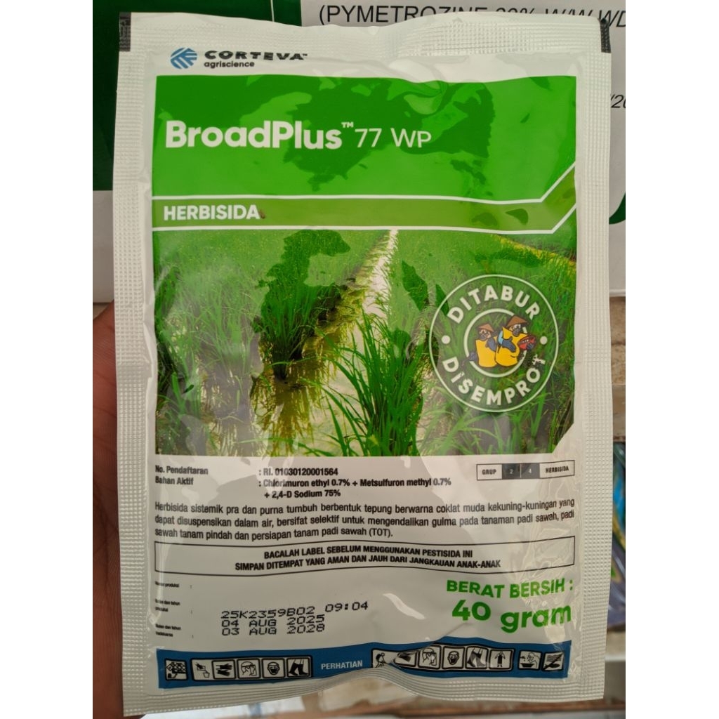 Broadplus