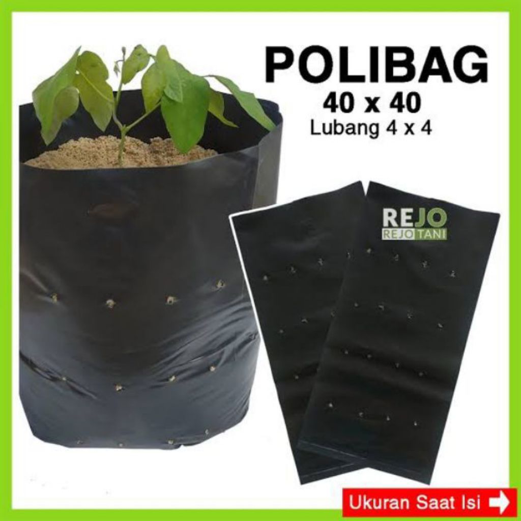 polybag 40x40 isi 30 lembar