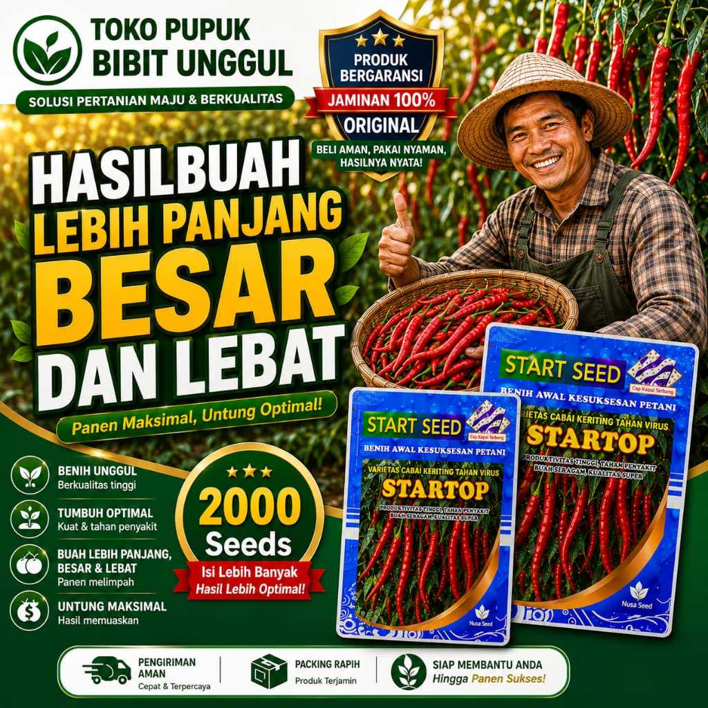 benih cabe rawit unggul bibit cabe rawit unggul bibit cabe kriting