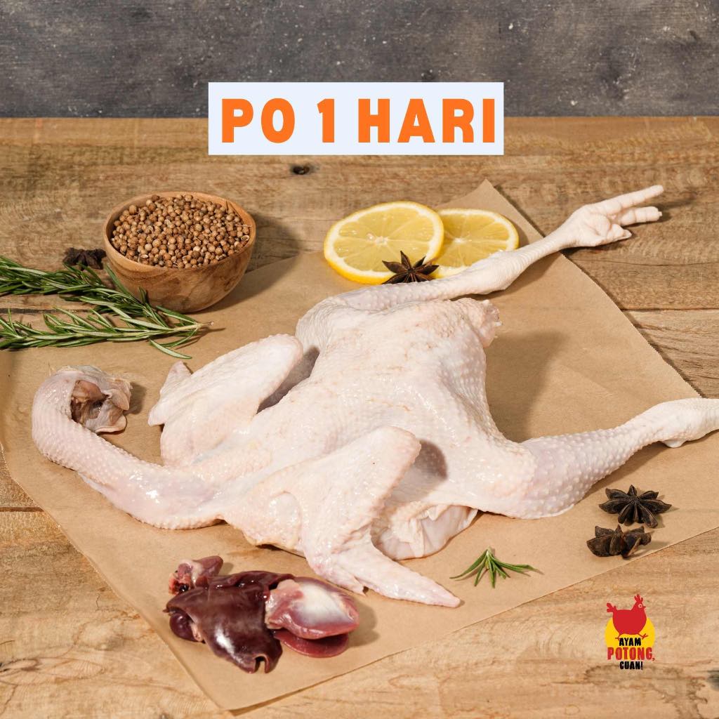 Ayam Pejantan 1 kg (hidup)