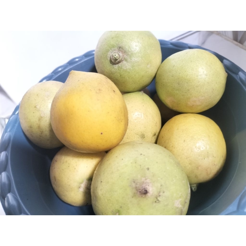 buah Lemon / jeruk lemon 500gr ~ CC.Purwosari