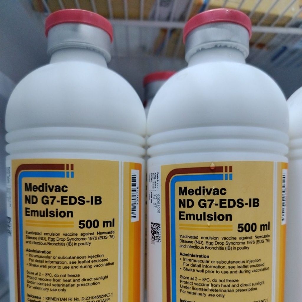 Medivac ND G7-EDS-IB Emulsion 500 ML Vaksin Ayam Perlindungan Terbaik Cegah ND EDS dan IB Dosis 0.5 