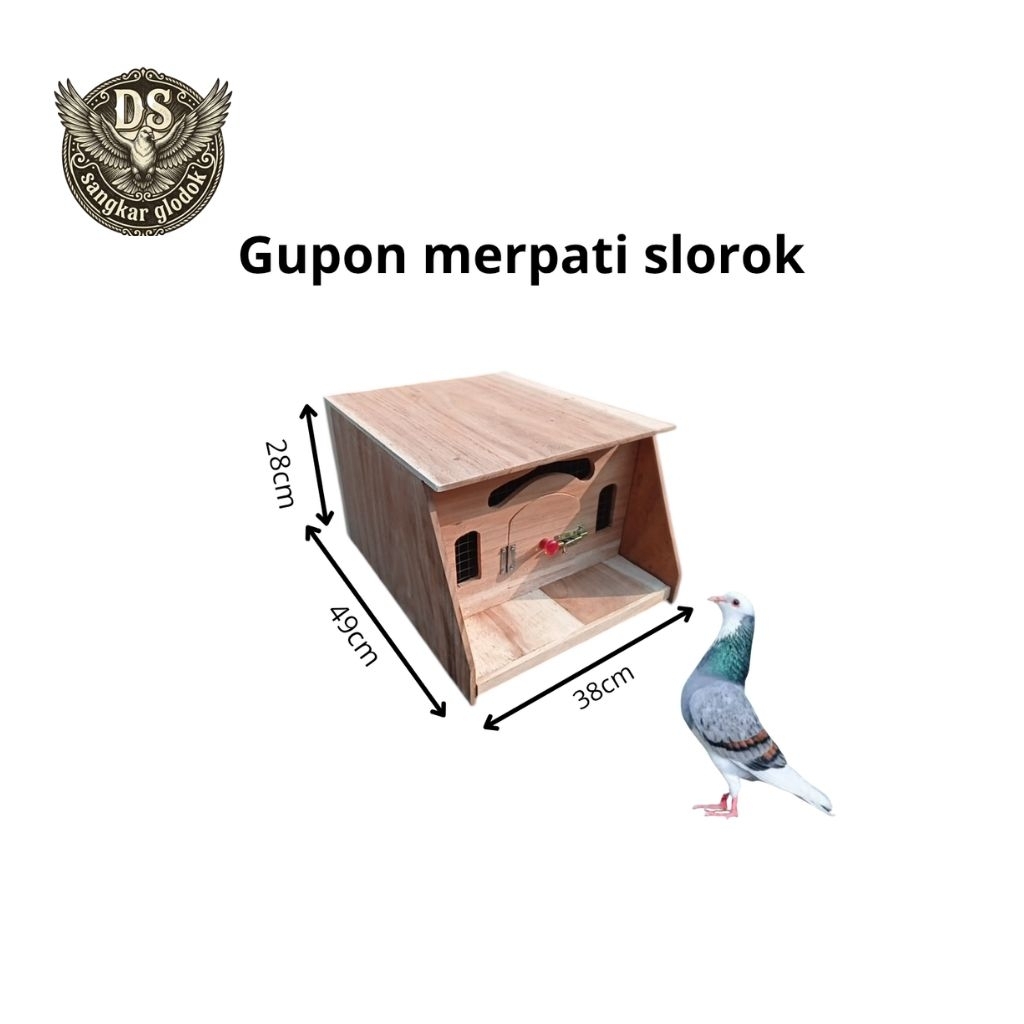 GUPON MERPATI  LANCIP SLOROK(BESAR)