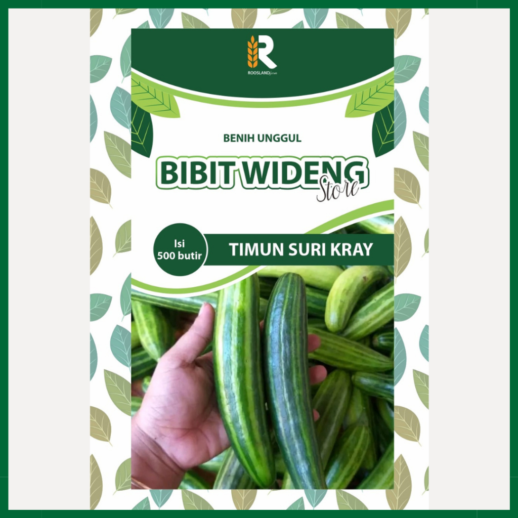 ( 500 BENIH ) TIMUN SURI KRAI LALAP | TIMUN KRAY LALAP | SURI KRAI LALAB