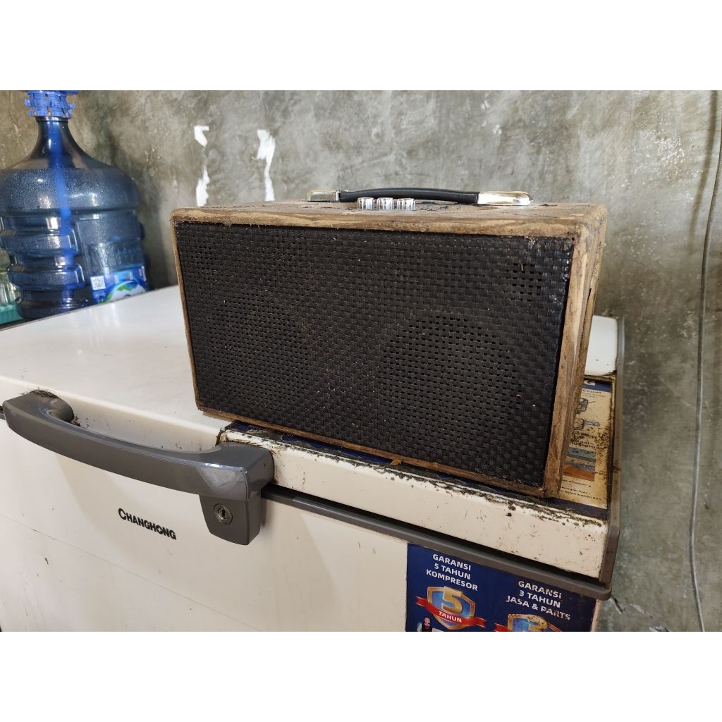 spiker 4 inch 100w