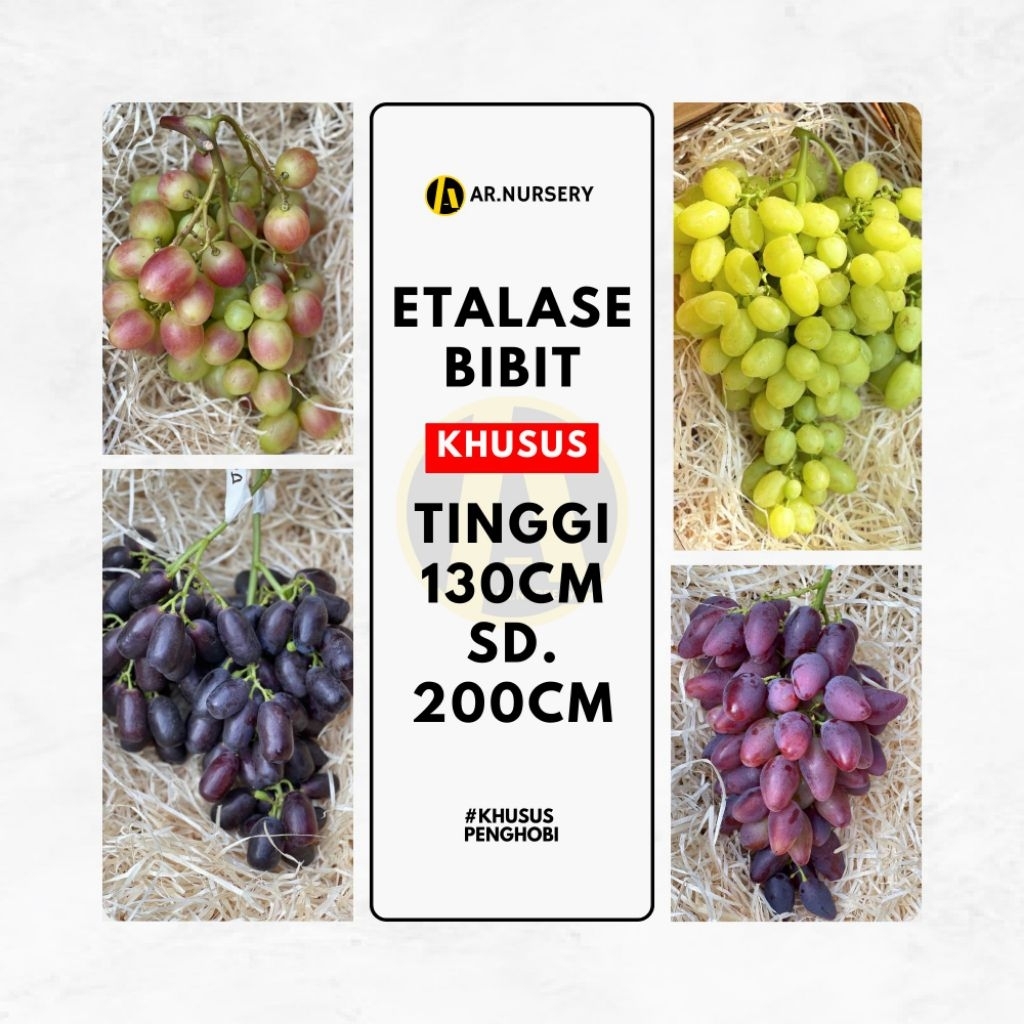 Etalase Khusus Tinggi 2meter