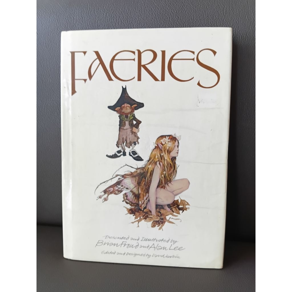 buku import arts painting drawing illustrqation fairies