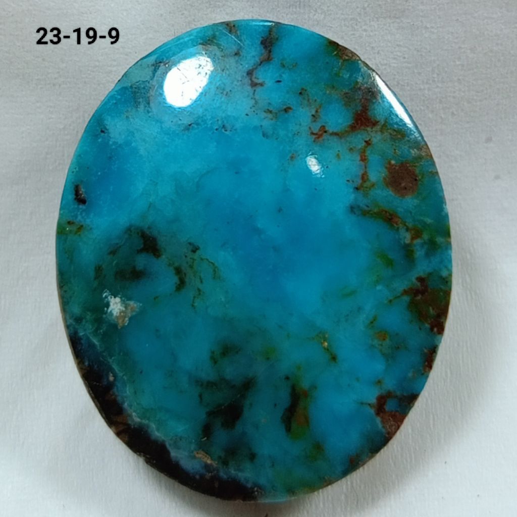 NATURAL PIRUS PERSIA WARNA BIRU
