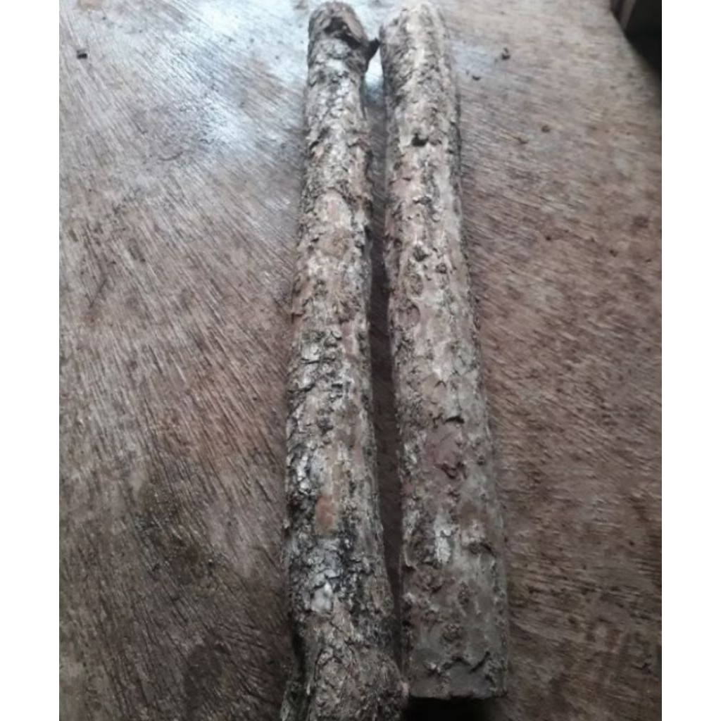 bahan kayu stigi panjang 60 cm