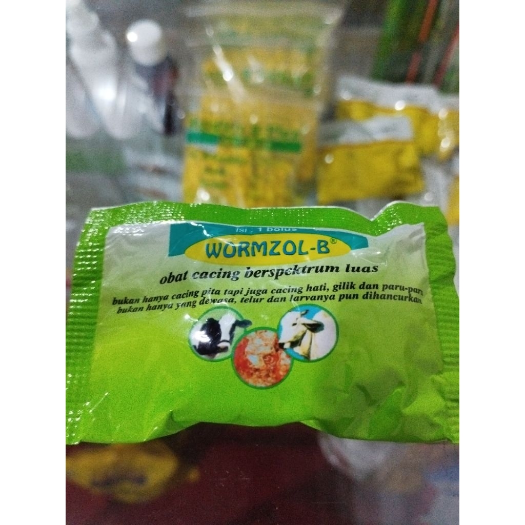 Wormzole B obat cacing sapi kambing dan domba(hewan ruminansia)