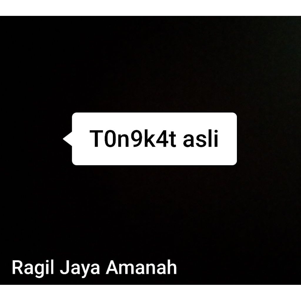 Tongkat Sihir ASLI