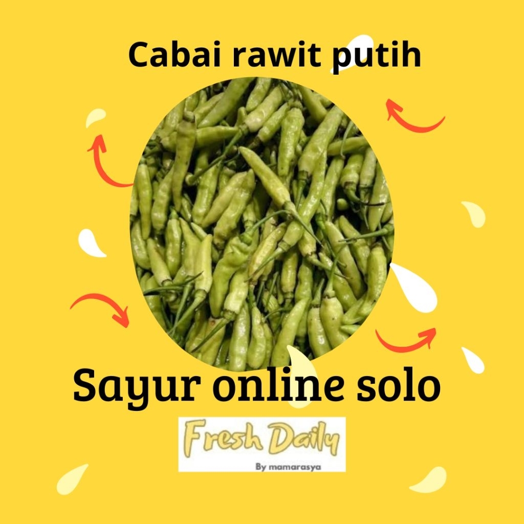 cabai rawit putih