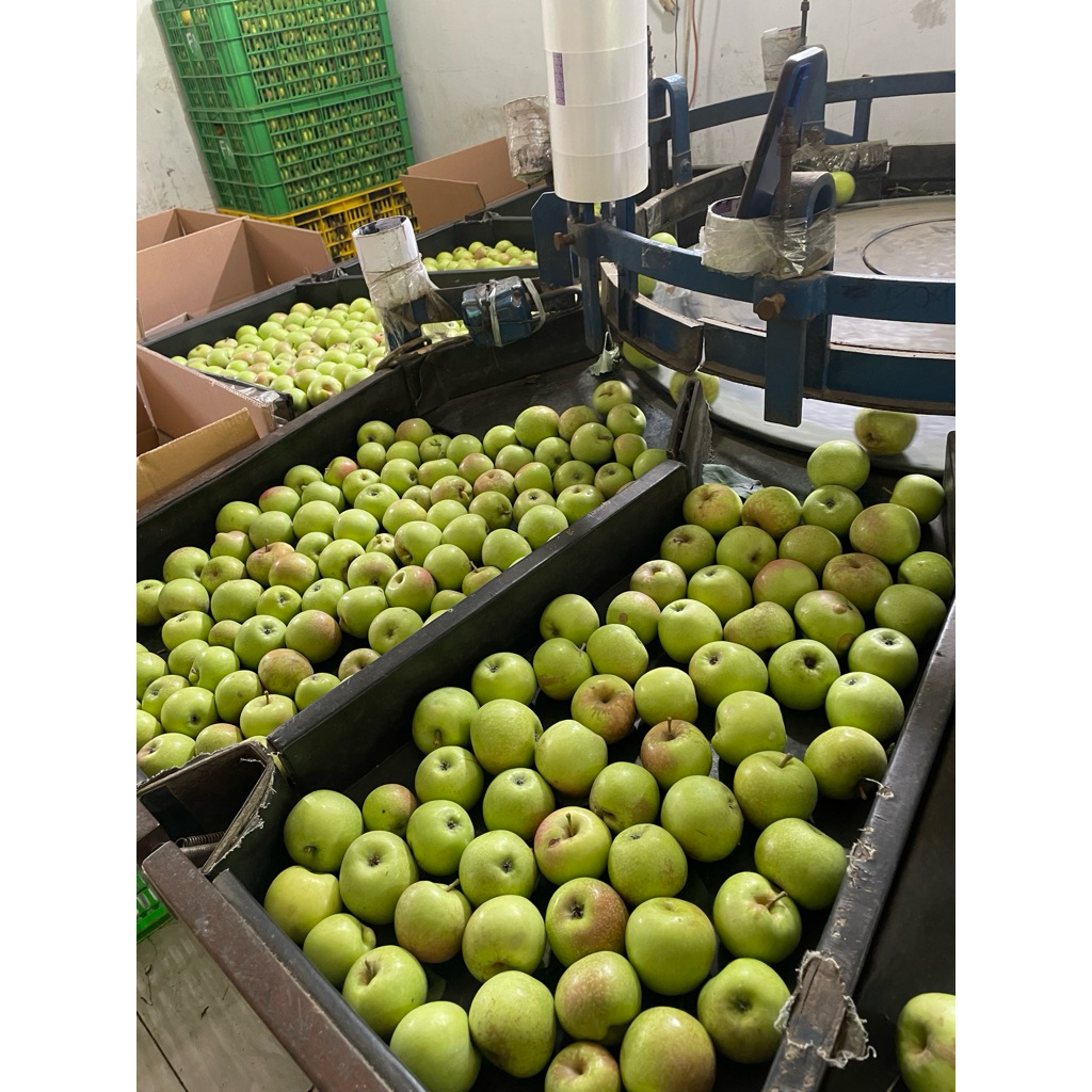 apel manalagi malang 1kg manis segar
