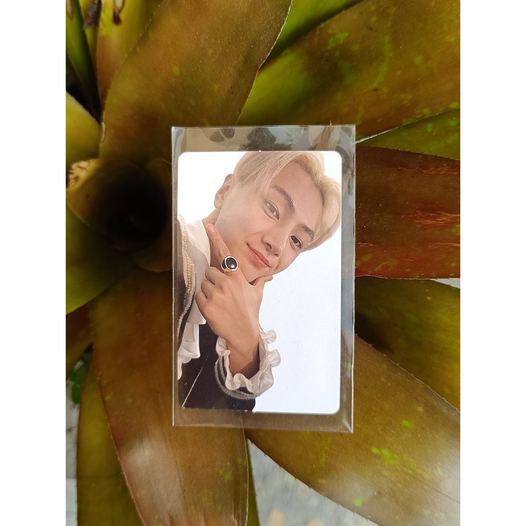 Photocard Official Enhypen Jay, Jake, Jungwon & Sunoo era Border: Day One (debut) | Border: CARNIVAL