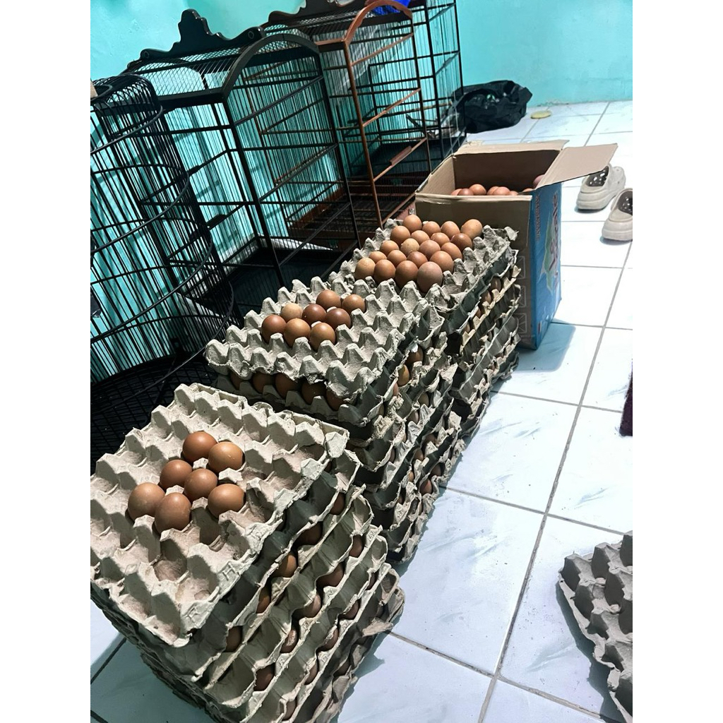 Telur ayam 1kg
