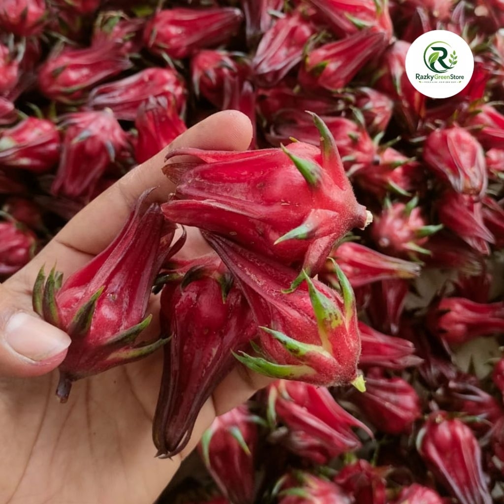 Bunga Rosella Segar Fresh Tanpa Biji 250 gr