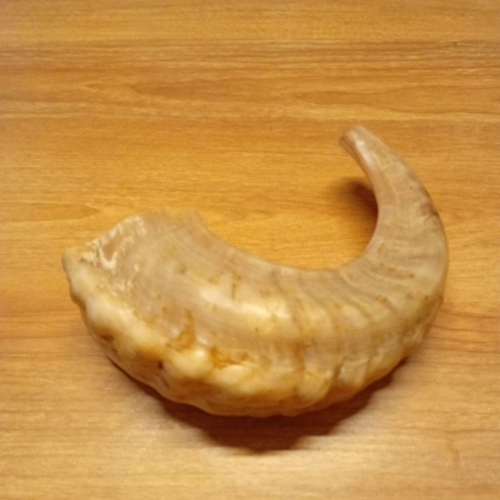 shofar 15 inch, good sound