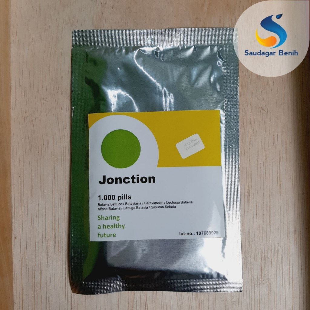 Benih Selada RZ JONCTION 1000 pills Original F1 Benih Selada Batavia