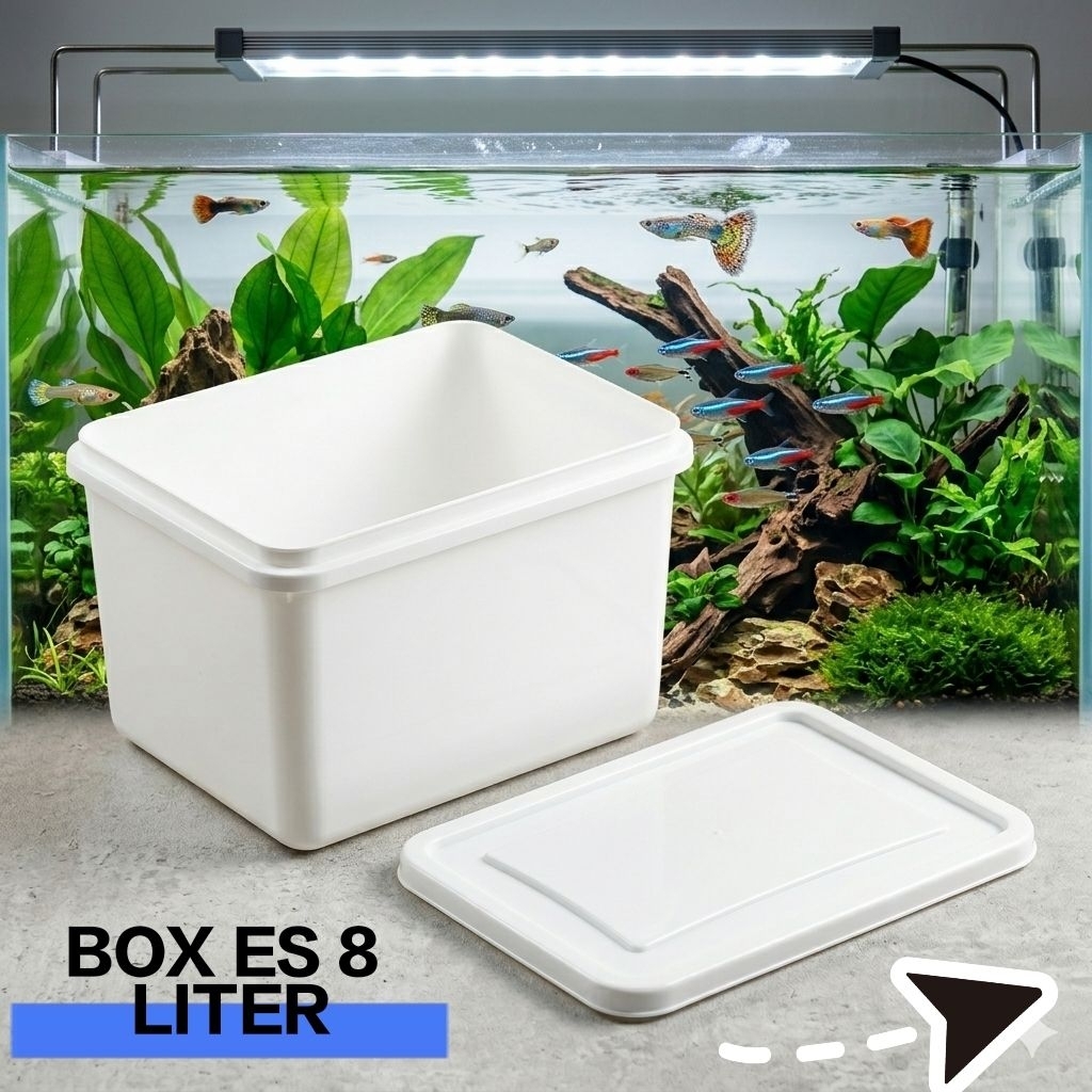 Box/wadah breeding/ box ternak/ box ikan hias/ wadah ikan/ box bekas es krim 8 liter/ box minipond