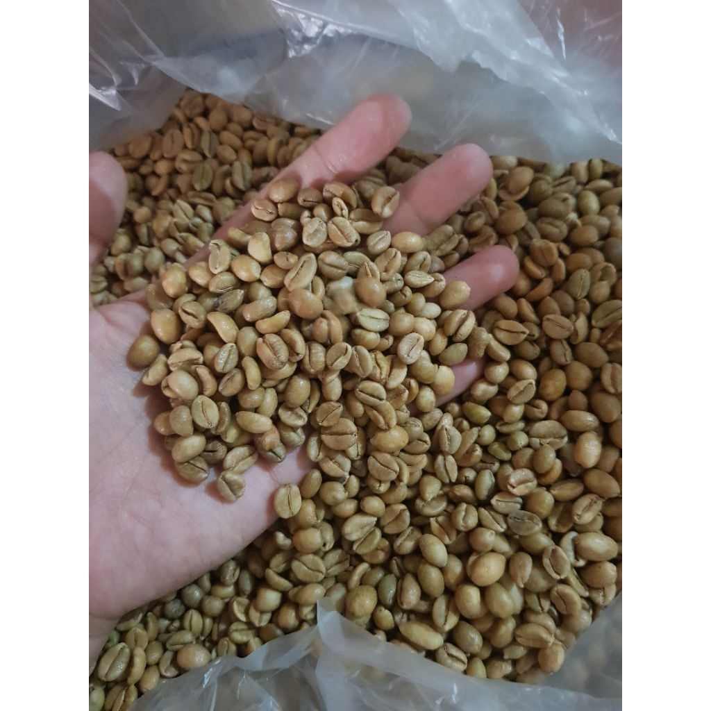 Green Bean/Biji Kopi Mentah Excelsa Liberika Natural Petik Merah 500gr 1kg