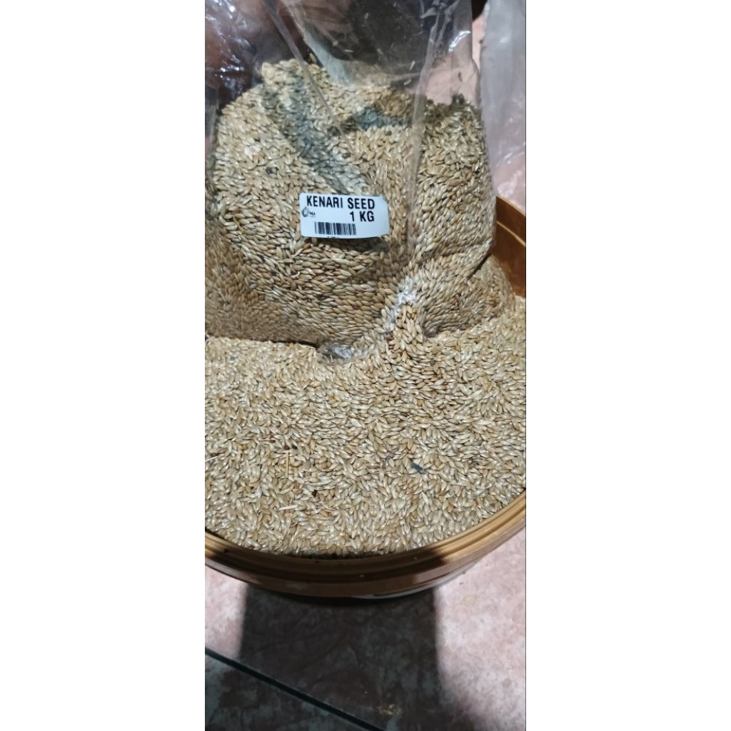 Pakan Burung Kenari Seed 1 KG