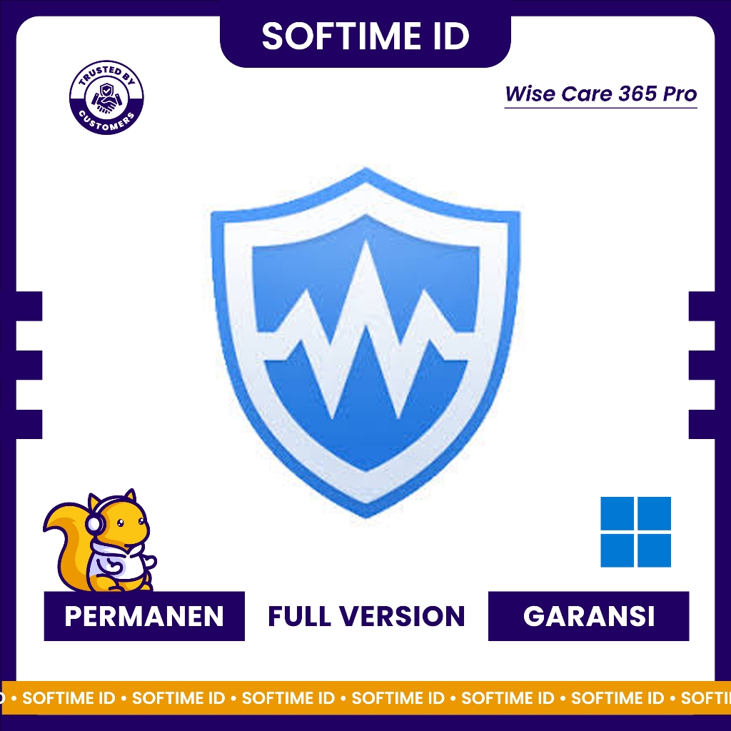 Wise Care 365 Pro | Windows