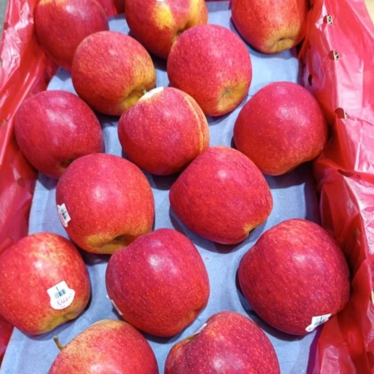 BUAH APEL ENVY NZ / APEL ENVY USA 1 KG