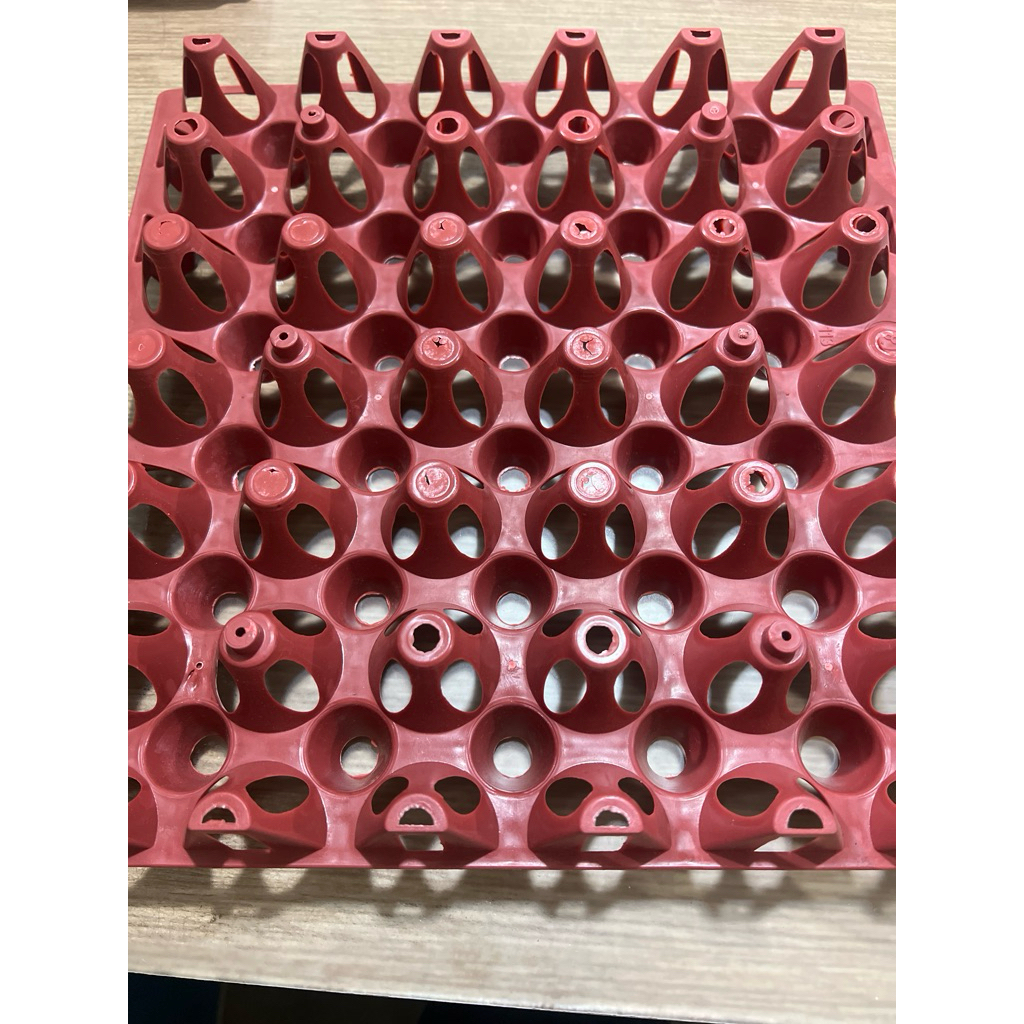 tray telor plastik / egg tray